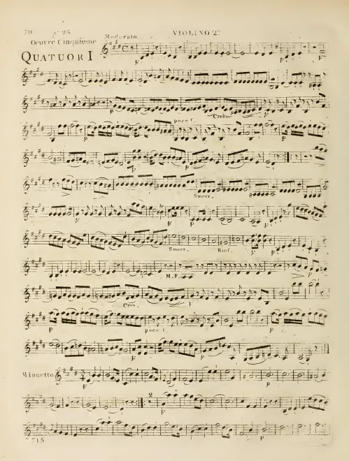 Violin 2