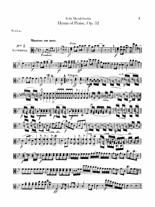 Violas