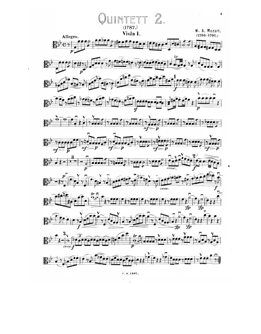 Viola 1