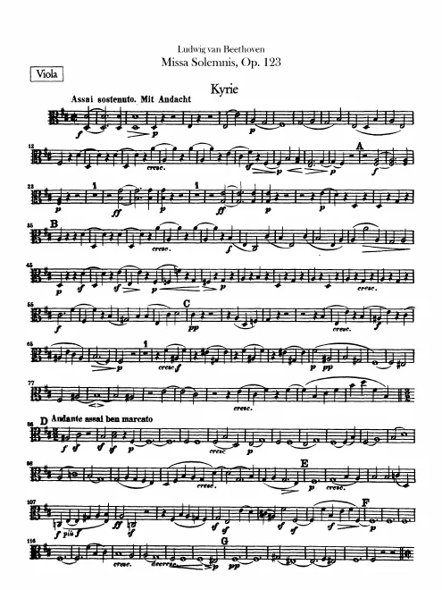 Violas
