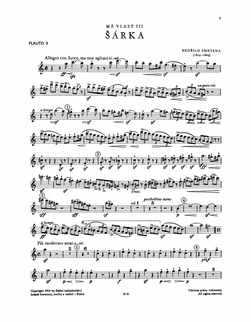Flute 2