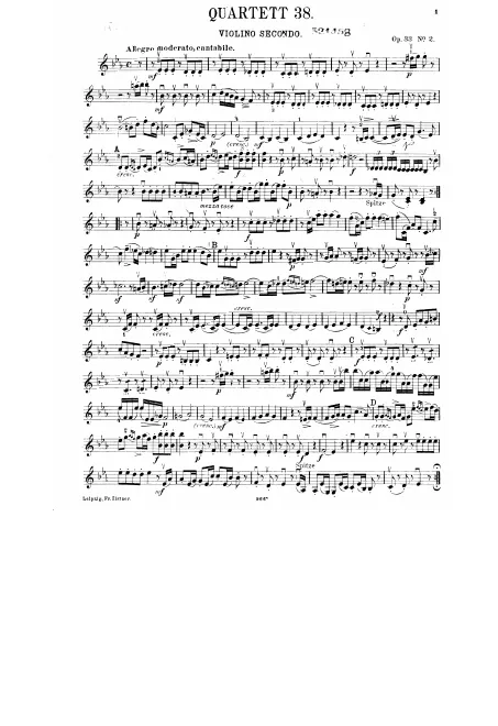 Violin 2
