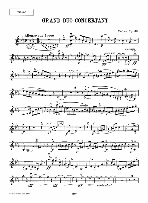 Violin