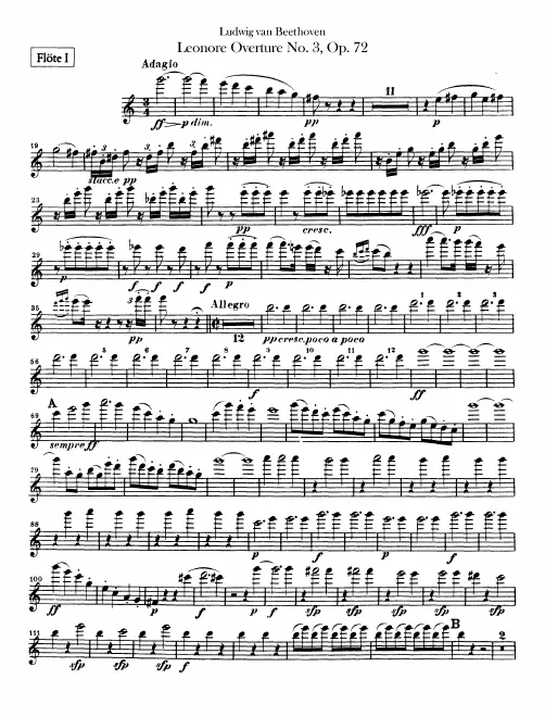 Flute 1, 2
