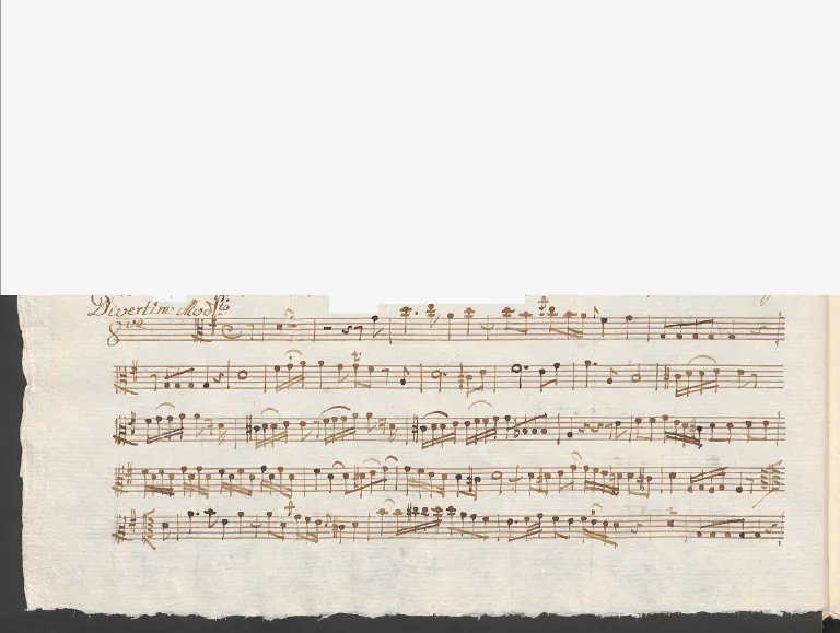 Viola