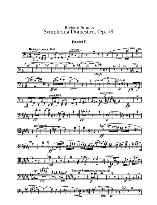Bassoon 1