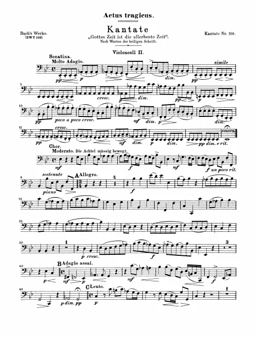 Cello 2
