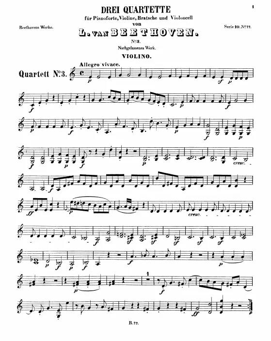 Violin