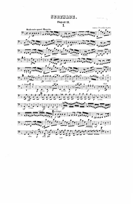 Bassoon 2