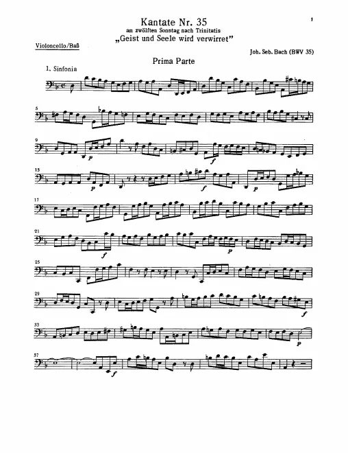 Cellos/Basses