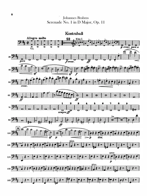 Basses