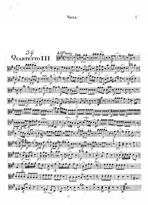 Viola
