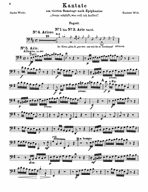 Bassoon