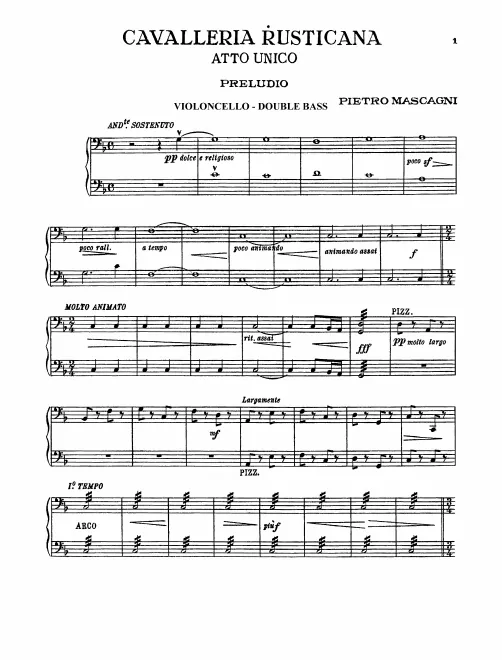 Cellos/Basses