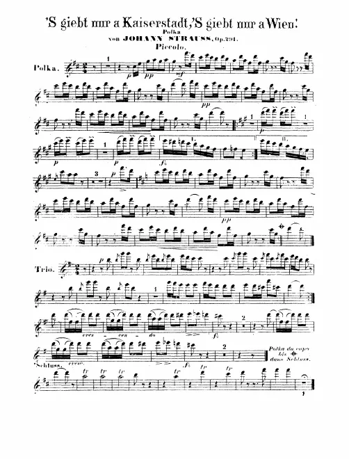 Piccolo, Flute