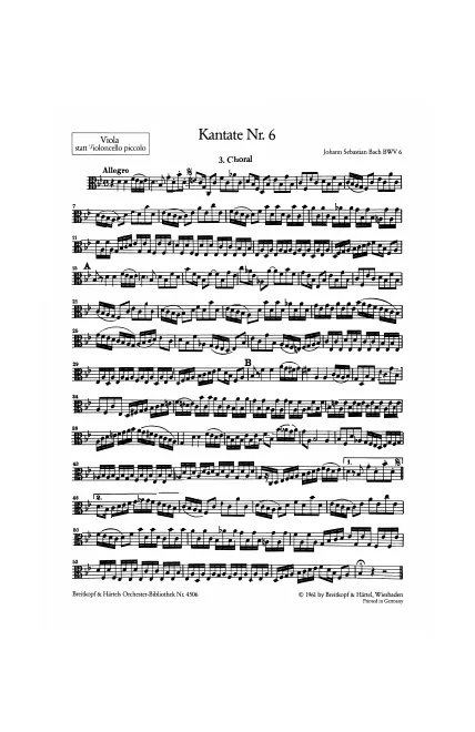 Viola Solo (Cello Piccolo)