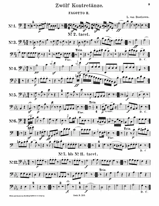 Bassoon 2
