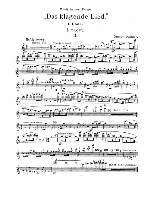 Flute 1