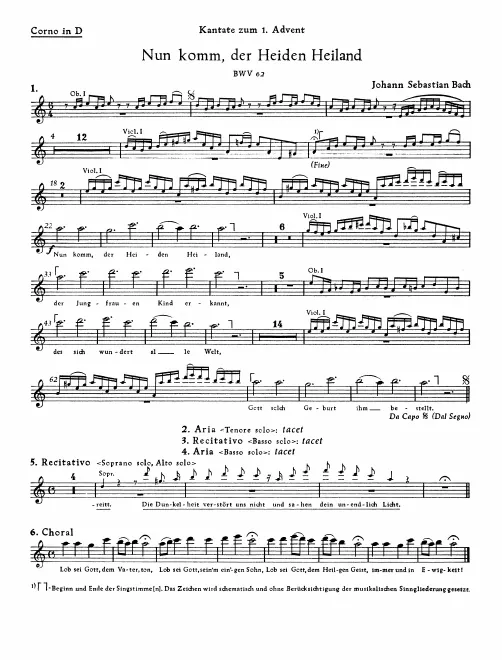 Horn (D)