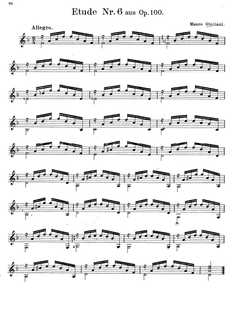 No.6