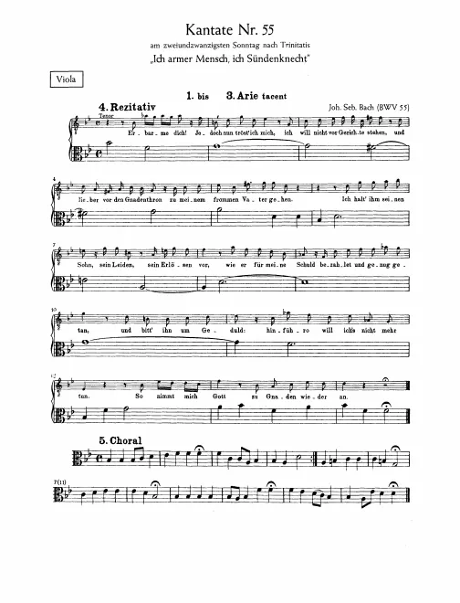 Violas