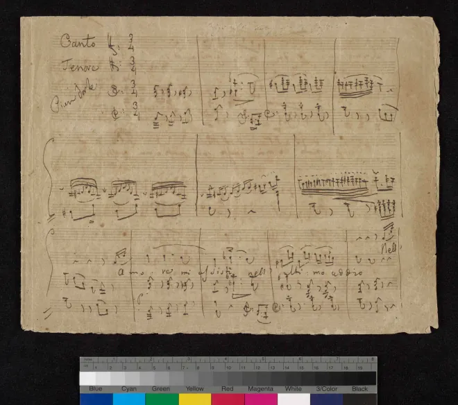 First page of Amore mi assisti