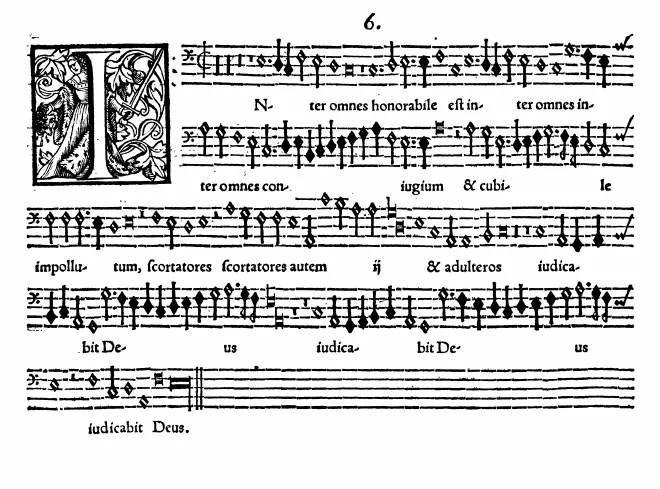 Bassus