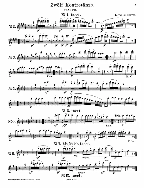 Flute