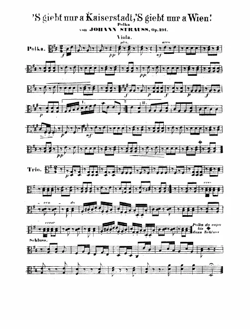 Violas