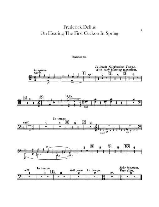 Bassoon
