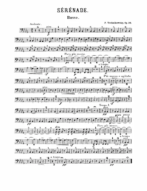 Basses