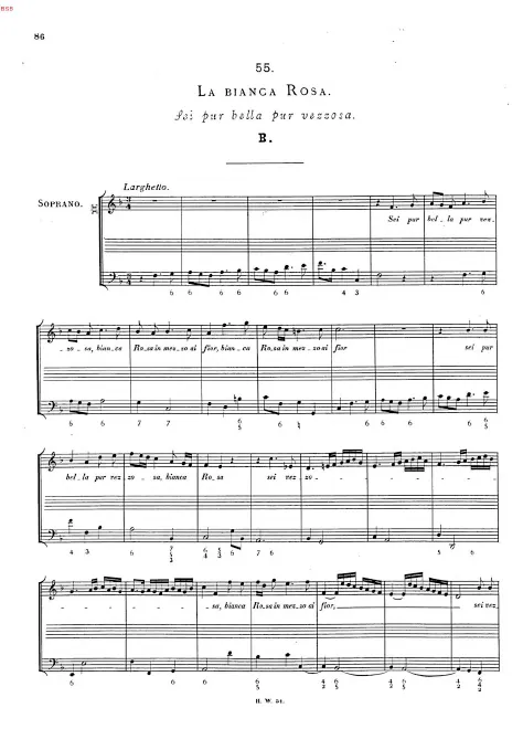 First page of La bianca rosa, HWV 160c