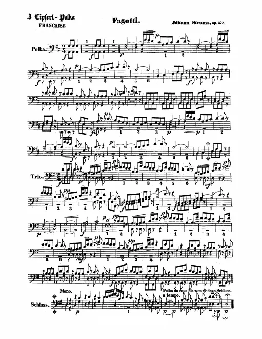 Bassoon 1/2