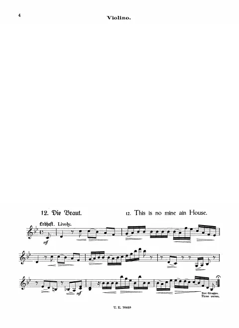 Violin