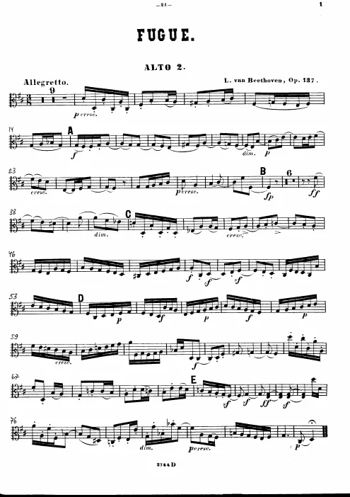 Viola 2
