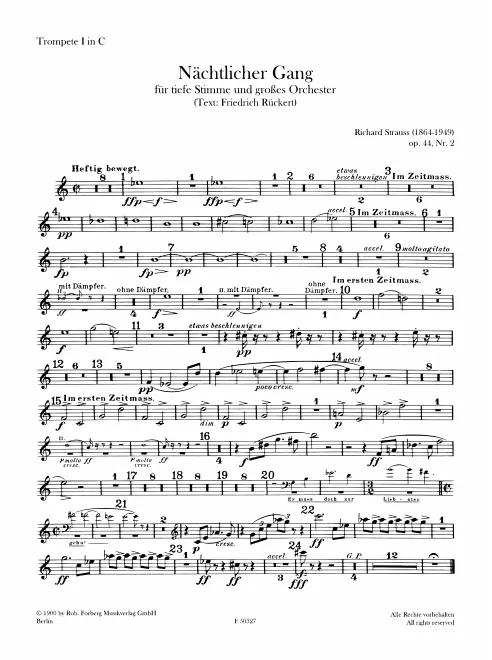 Trumpet 1 (C)