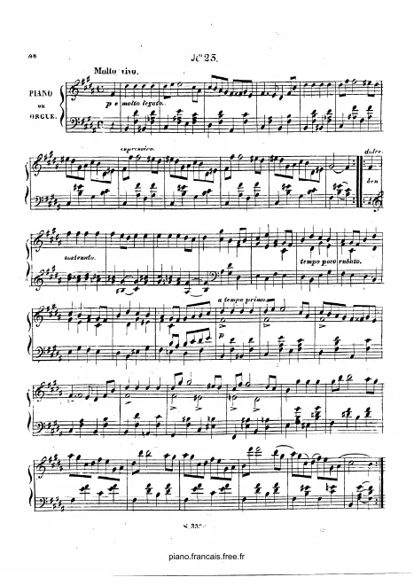 23. Molto vivo