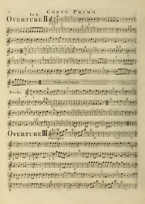 Horn 1 (B)