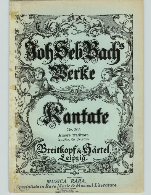 Color Cover