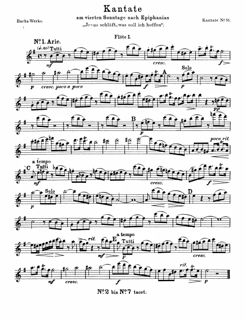 Flute 1