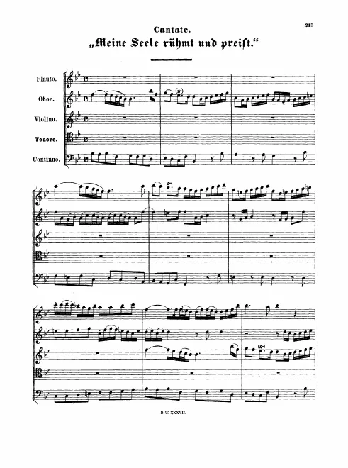 First page of Meine Seele rühmt und preist