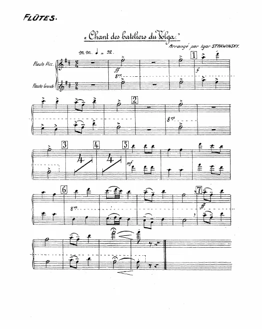 Piccolo/Flute