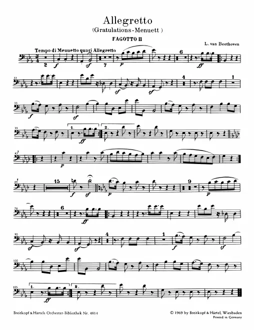 Bassoon 2