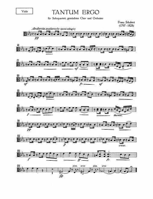 Violas