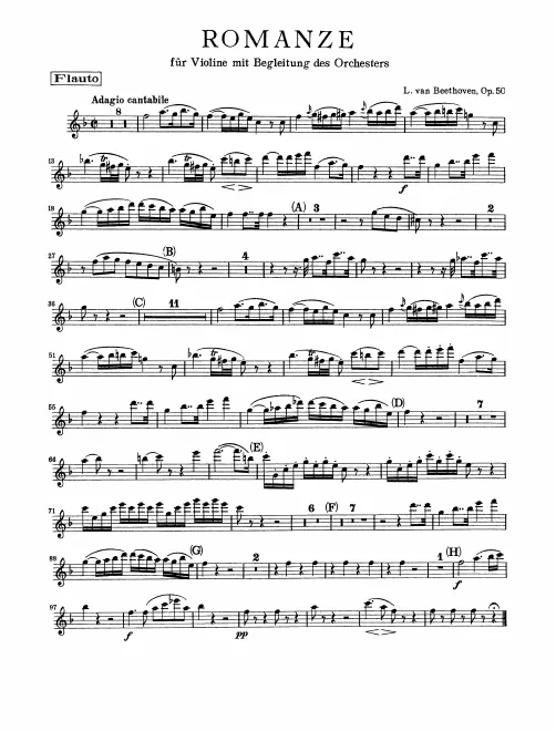 Flute