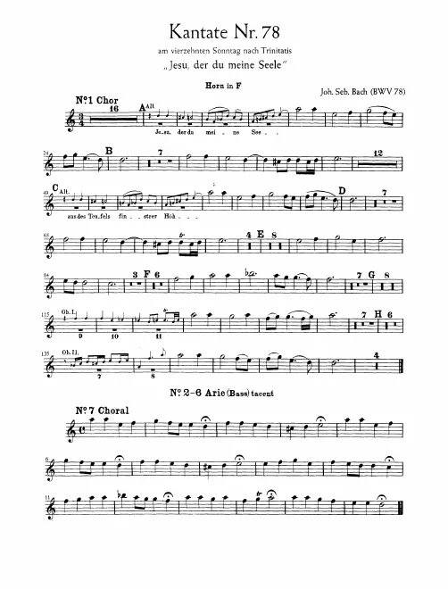 Horn (F)