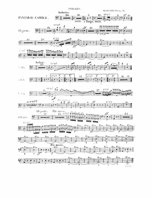 Timpani