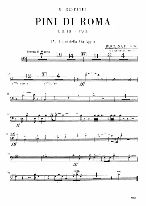 Bass Buccina 2 (B)