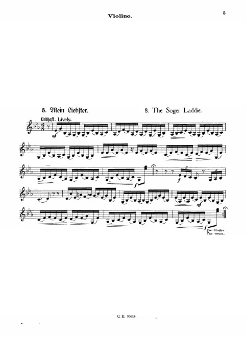 Violin