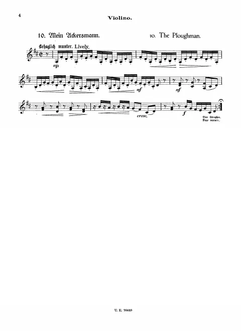 Violin